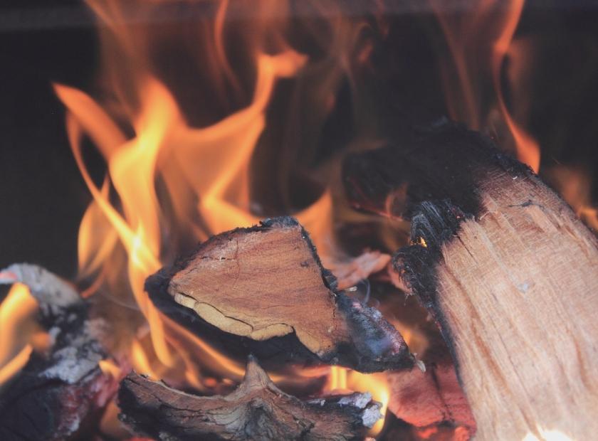 What Type of Firewood Should You Burn When? 