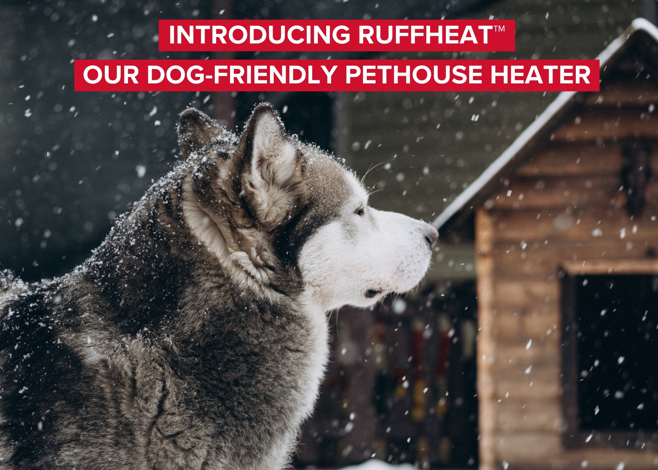 Introducing RuffHeat™: Our Dog-Friendly Pethouse Heater