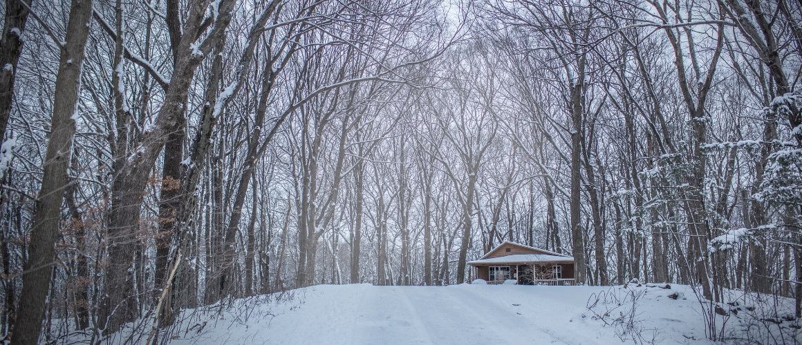 Canadian Winter Scene